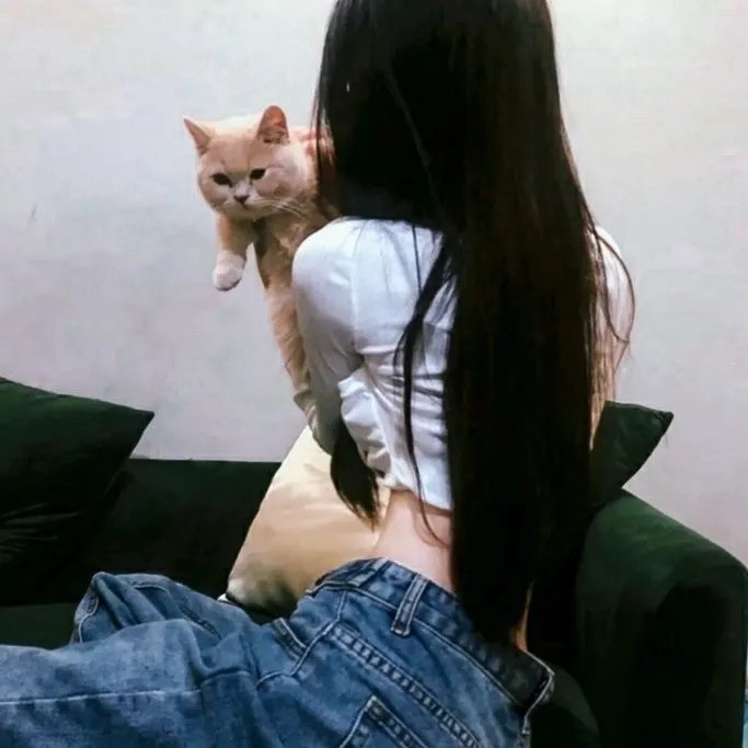 爱诫